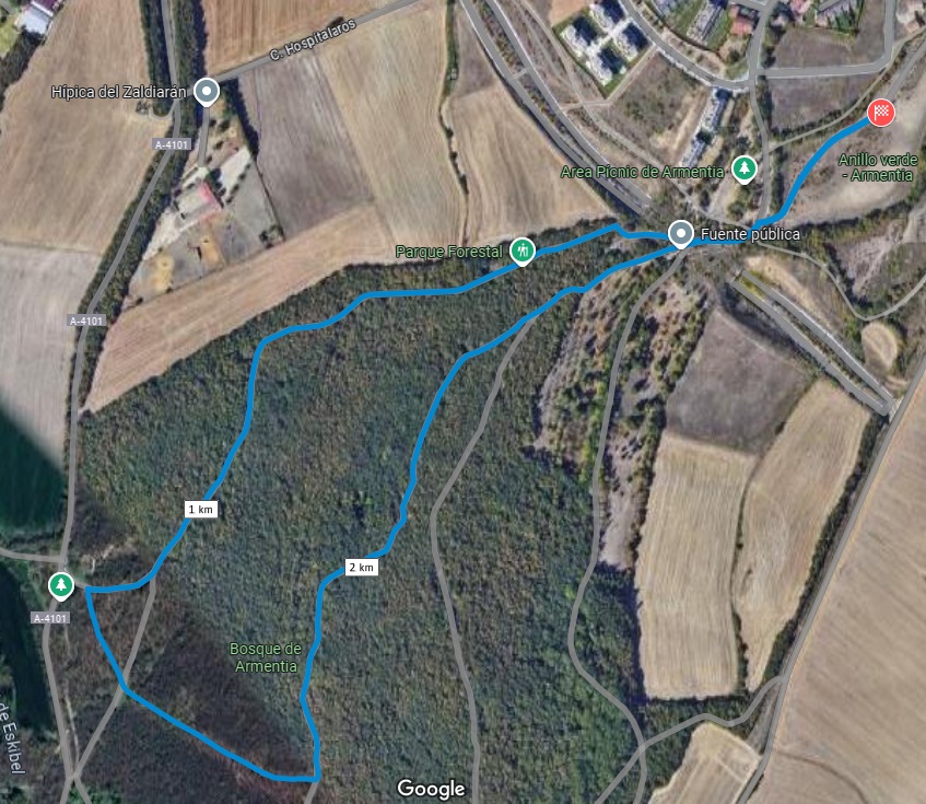Ibilbidea/Recorrido gazte
